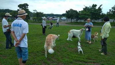 IMG_20200724_162550