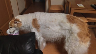 IMG_20200714_210032_HDR