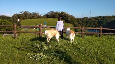 IMG_20200927_153318