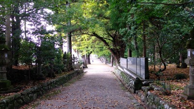 IMG_20201108_123018