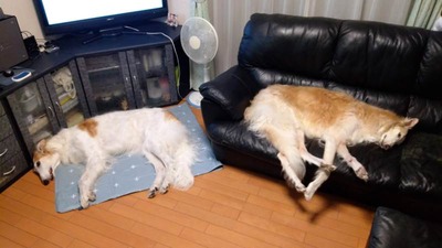 IMG_20200809_161155