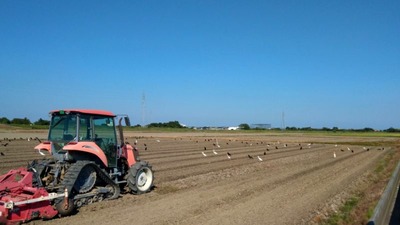 IMG_20200816_154136