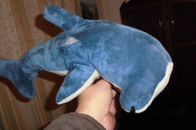 サメ狩り ボルゾイな生活