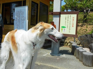 DSCN5738