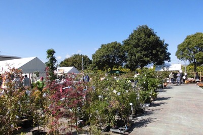 CIMG0989