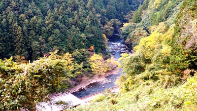 IMG_20201108_124956
