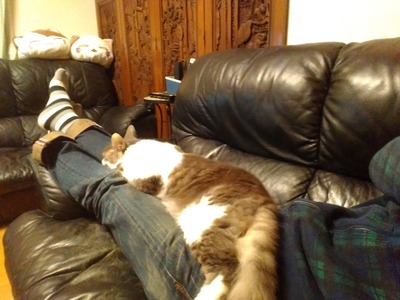 P_20191128_195525_BF