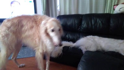 IMG_20200902_080904