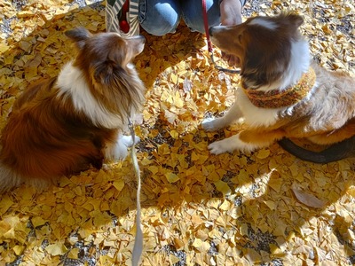 IMG_20251130_115225_HDR