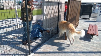 IMG_20201029_111242