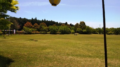 IMG_20210506_113859