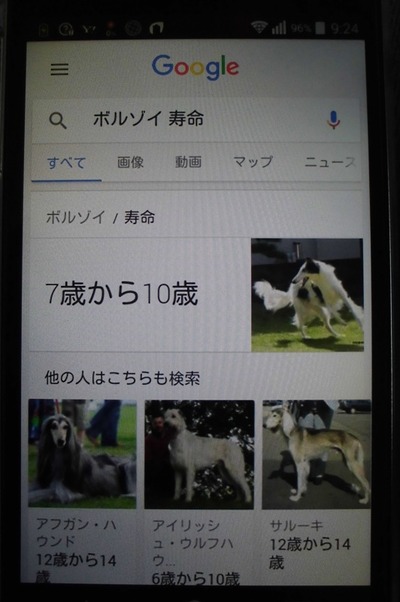 CIMG0987