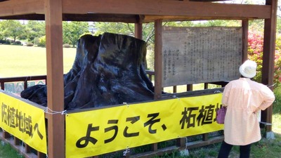 IMG_20210506_114204