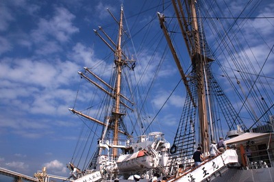 DSC06795