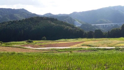 IMG_20200927_143807