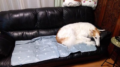 IMG_20200809_163434