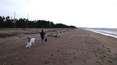 IMG_20201004_163625