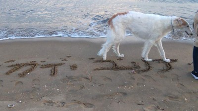 IMG_20230204_155053