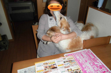 BlogPaint