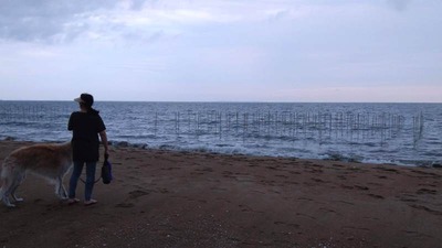 IMG_20201004_162927