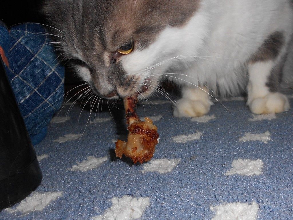 鶏の骨を食べさせてはいけない ボルゾイな生活 鶏の骨を食べさせてはいけない ボルゾイな生活