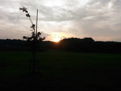 P_20190901_175422