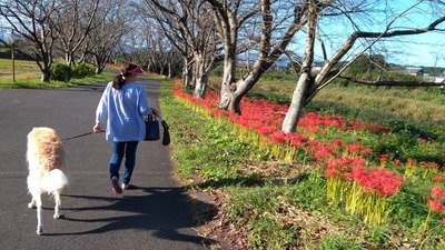 IMG_20201001_153310