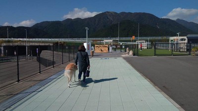 IMG_20201029_111043
