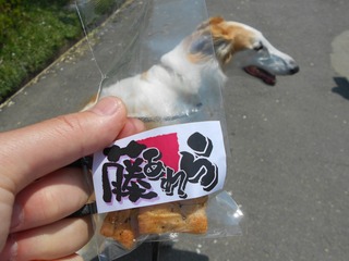 DSCN5756