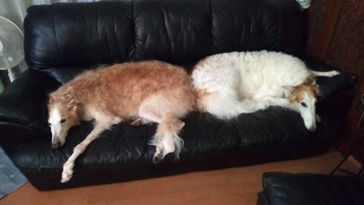IMG_20200818_113345