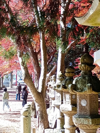 IMG_20251130_115544_SR