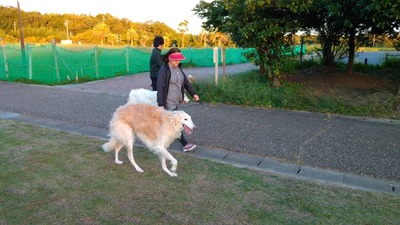 IMG_20201015_165742