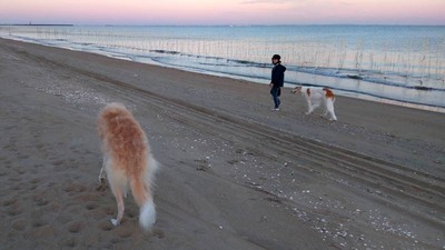 IMG_20201105_164736