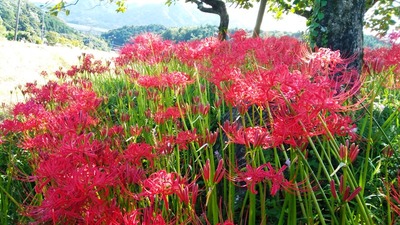 IMG_20200927_142054