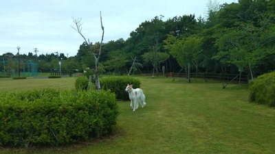 IMG_20200724_074723