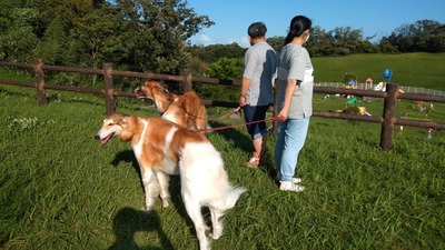 IMG_20200927_153323
