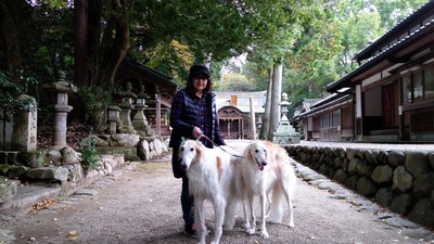 IMG_20201108_123236