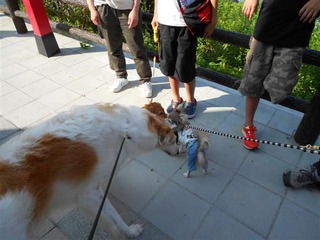 DSCN2432 (小)
