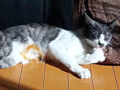 IMG_20251209_101756_SR