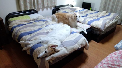 IMG_20200828_214149