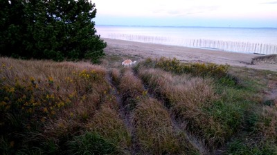 IMG_20201105_165620