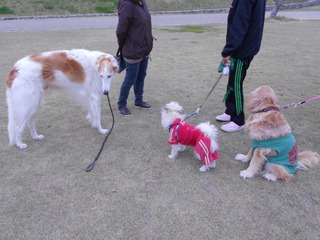 DSCN5421
