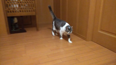 IMG_20200824_201217