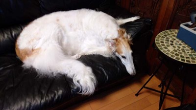 IMG_20200730_171008