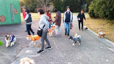 IMG_20201108_163037