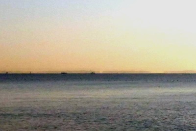P_20200204_072523