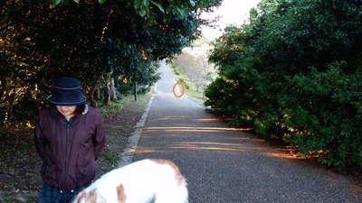 IMG_20201029_161456