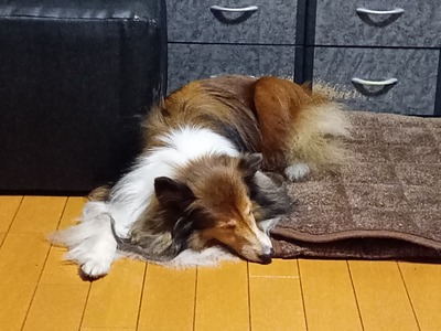 IMG_20251124_190227_SR