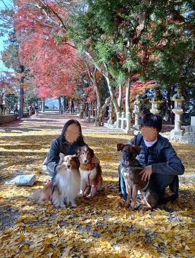 IMG_20251130_114132_HDR