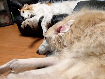 IMG_20200806_161923_2